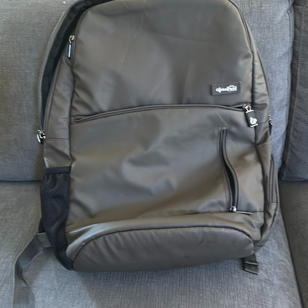 Intelligent Travel Backpack - Smart, Organized, Lightweight Backpack (Titanium)